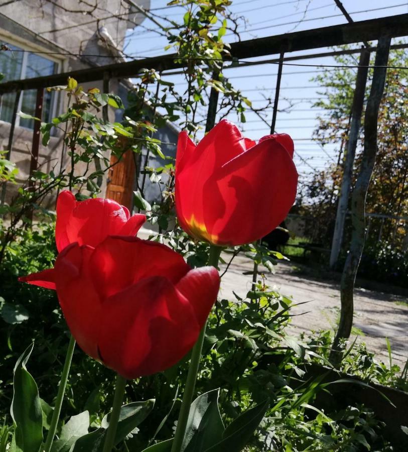 Udabno Naili Hotel Bagian luar foto