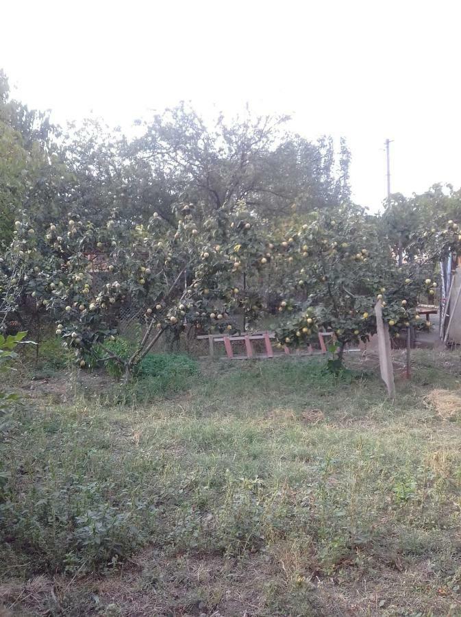 Udabno Naili Hotel Bagian luar foto