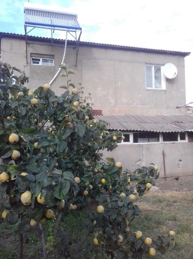 Udabno Naili Hotel Bagian luar foto